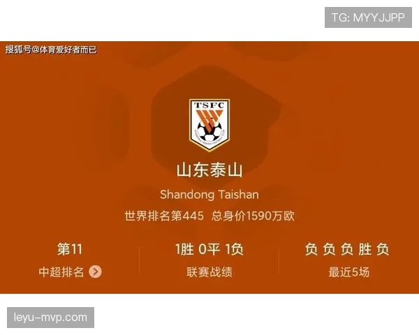 禁赛规则解析：赛场处罚执行标准与裁判判罚依据详解